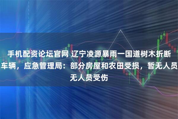 手机配资论坛官网 辽宁凌源暴雨一国道树木折断砸中车辆，应急管理局：部分房屋和农田受损，暂无人员受伤